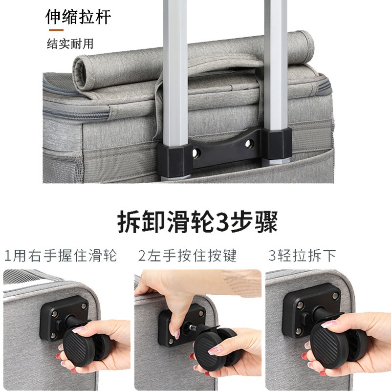Hanbang Çift Katmanlı Evcil Ha - Foldable Rolling Luggage Bag incelemesi ve fiyatı